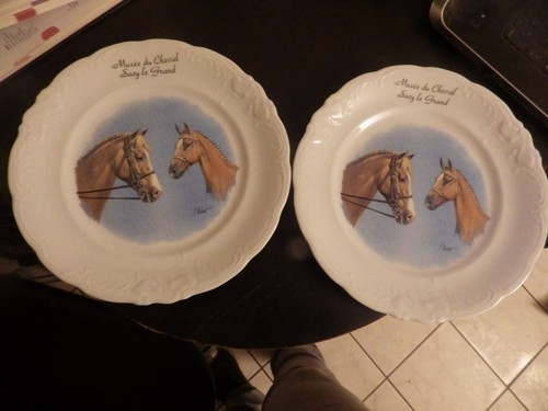 Lot assiettes en - assiettes,