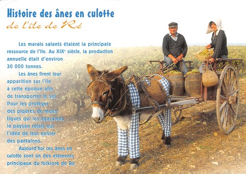 Ile re histoire des - re,