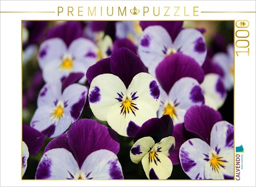Puzzle calvendo violette - calvendo,
