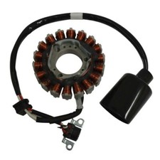 Stator 18 Poli Triphasé Avec