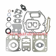 Série Segments Kit Joints BRIGGS&STRATTON 320040 793284 795442 INTEK 6,5HP