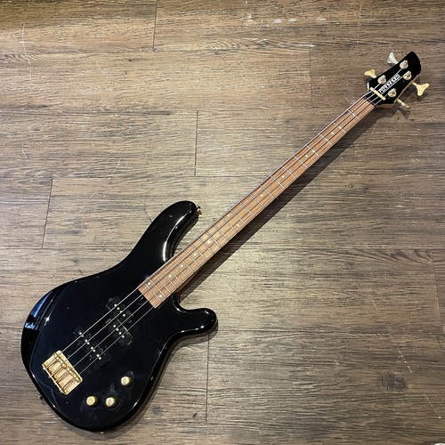 Fernandes gravity std 2002 - fernandes,