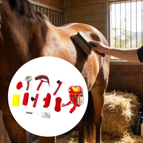Kit pansage pour chevaux - kit, de