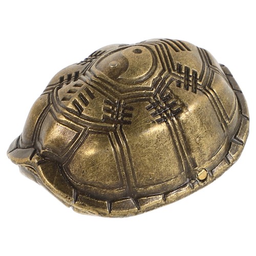 Carapace tortue bonne - tortue,