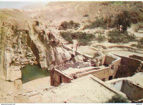 Carte postale algérie - postale,