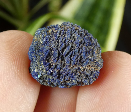 Nodule azurite chessylite - nodule,