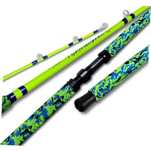 Catfish fishing rods - fishing, 1