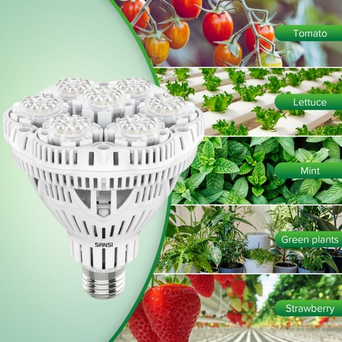 Grow light 36w lampe - light,