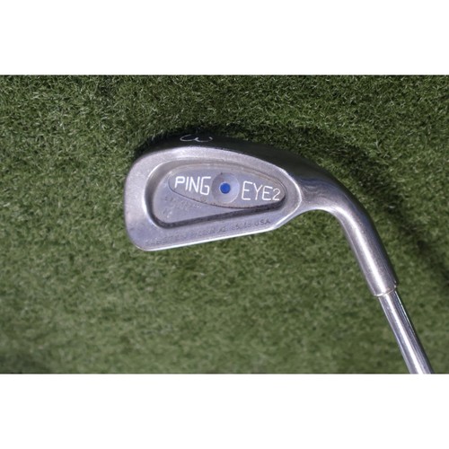 Ping eye blue - 2, fer
