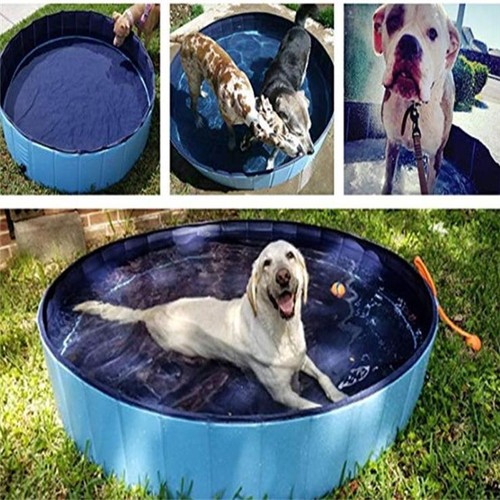 Piscine pour chien - pliante, xxl