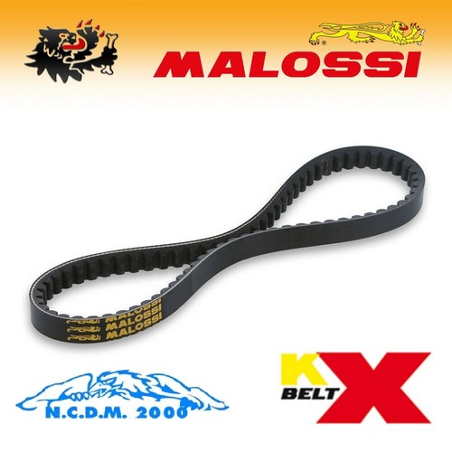 Malossi 6113394 courroie - 6113394,