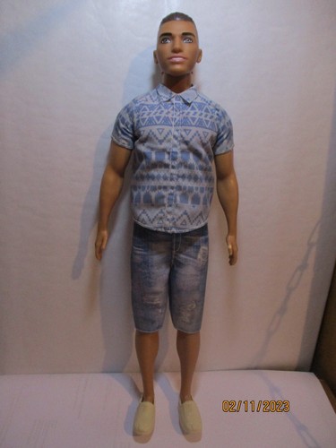 Ken fashionistas - fashionistas, /