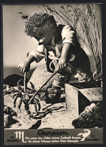 Carte postale hérisson mecki - carte,