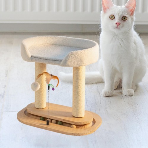 Arbre chat bois - chat, en