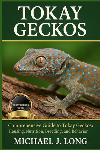 Tokay geckos comprehensive - tokay, geckos: