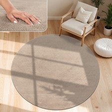 Tapis Moderne Salon À Poils