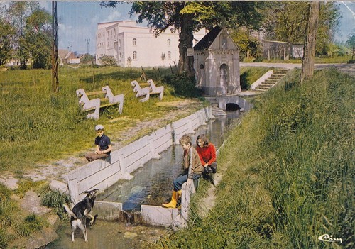 Carte postale 10x15cm - , postcard