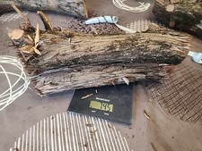 E/ Bois de cade - 2 Rondins pour ébénisterie, coutellerie, Sculpture etc.