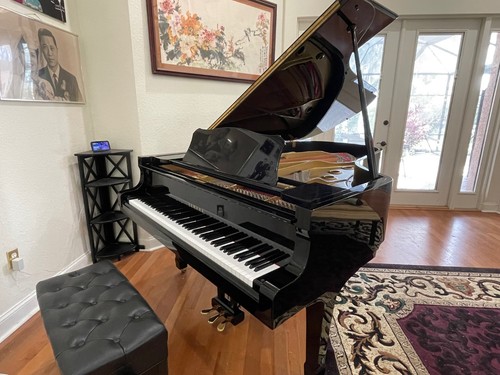 Yamaha grand piano sn - grand,