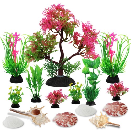 Plantes aquarium avec - d'aquarium,