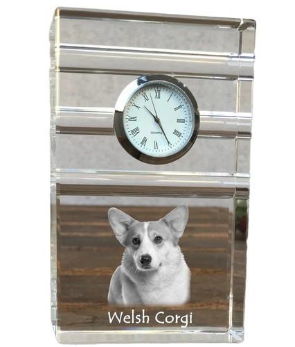 Pembroke welsh corgi - welsh,