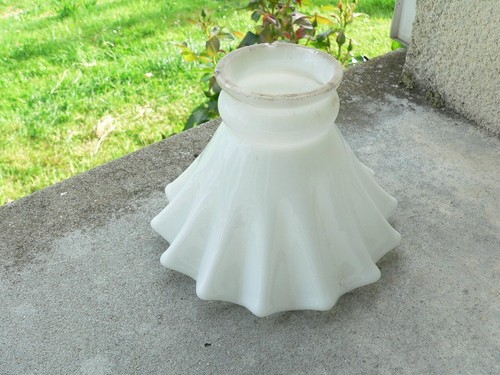 Ancienne tulipe opaline - ancienne, en