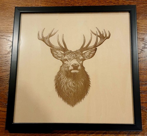 Woodcut frame deer head - woodcut, "deer
