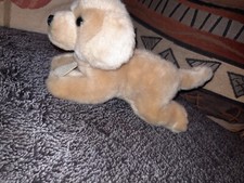 CC/Doudou peluche chien