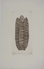 Cécile REIMS : La larve, Gravure originale, signée