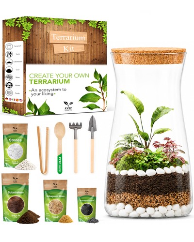 Terrarium kit for - terrarium, diy