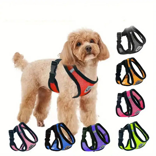Harnais pour chien chat - chien, ou