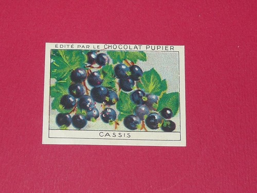 Chromo pupier 1930 album - chromo,
