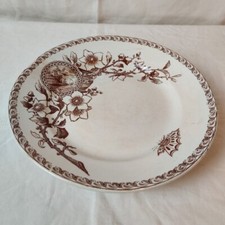 Assiette Élevée Service