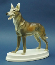 GOLDSCHEIDER Otto Petri