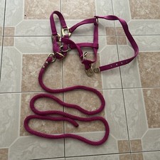 Harnais Cheval Equi-theme Équitation Harnais Laisse