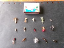 15 véritables mouches de