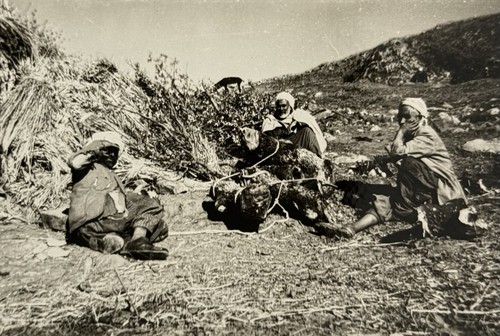 Guerre algérie groupe - guerre,
