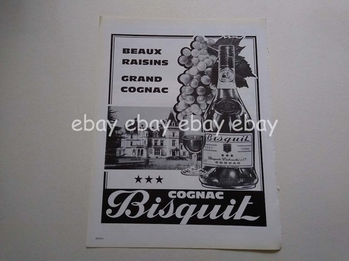 Bisquit grand cognac - bisquit,