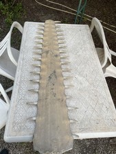 Rostre De Poison Scie