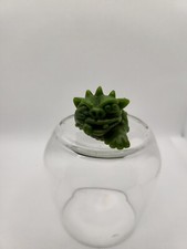 BOGLINS - MINI BOGLINS - THE DISGUSTINGS : CHIEF DROX GREEN / MATTEL 1991 1994