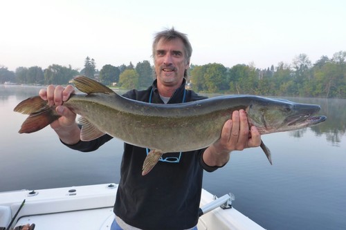 New musky muskie northern pike - musky,