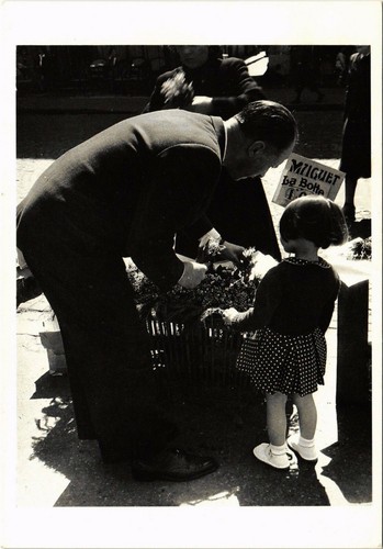 Cpm willy ronis muguet - cpm, ronis,