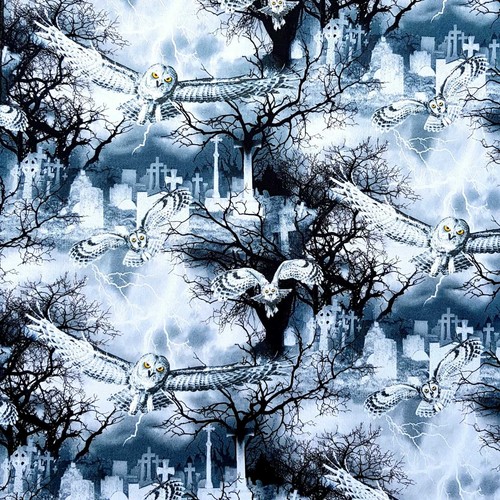 Chouette hedwig harry - hedwig,