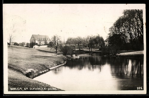 Dahlem sur fond noir - sur,