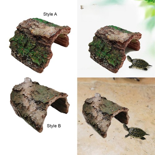 Habitat pour tortues dans - pour, un