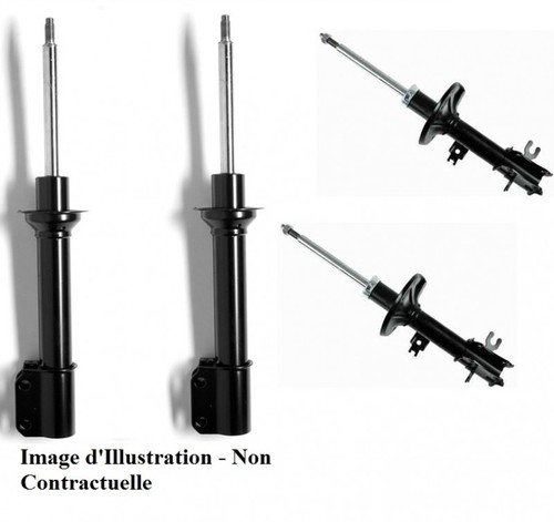 Deux amortisseurs hydrauliques - amortisseurs,