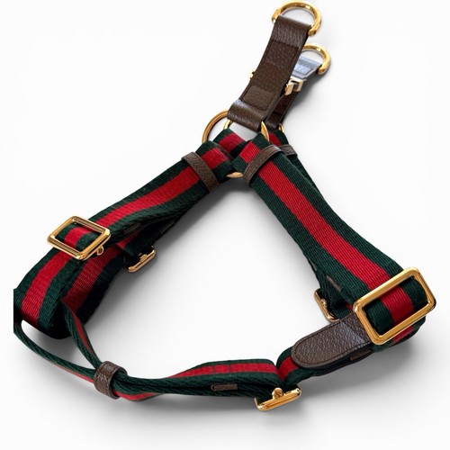 Harnais pour chien gucci - chien,