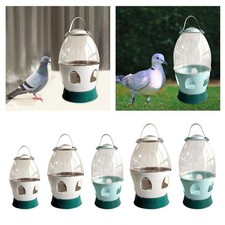 Pigeon distributeur d'eau