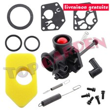 Carburateur pour Briggs & Stratton 498809 497619 494406 filtre à air 698369
