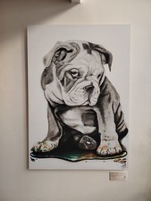 Bull dog, tirage d'art sur alu Dibond 100x70 cm Limité et Signé 